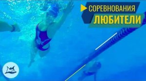 Silver Swim Cup vol.6 Соревнования по плаванию для взрослых. Плавание в Москве