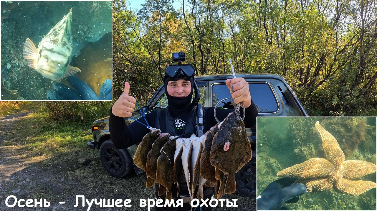 Подводная охота в Кольском заливе Баренцева моря