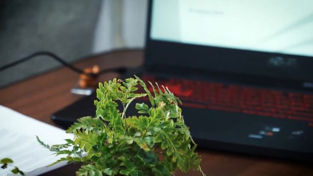 Фестиваль робототехники в Рубцовске