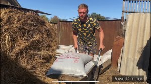 Терпеть ее уже нет сил, однозначно убирать!