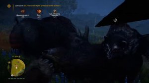 Медведь против Носорога