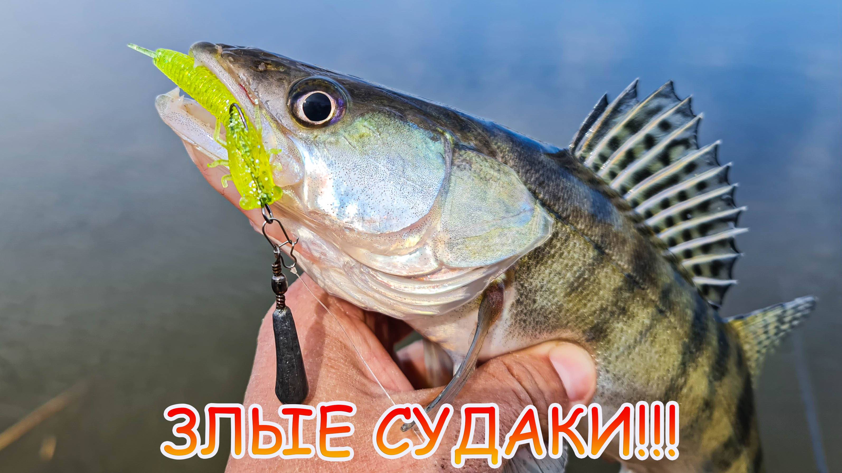 Злые судаки на джиг! Половили хищника, карасей и сазана!!!