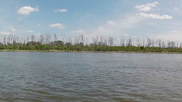 поймали ОРЛА на фидер. открытие сезона и здоровенный судак