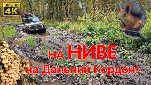 Красивая Осень Сибири! На Дальний Кордон За Грибами! НИВА ЛЕГЕНДА Едет! Преодолеваем Бездорожье LADA