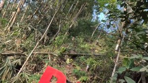 Природные места силы острова Ява