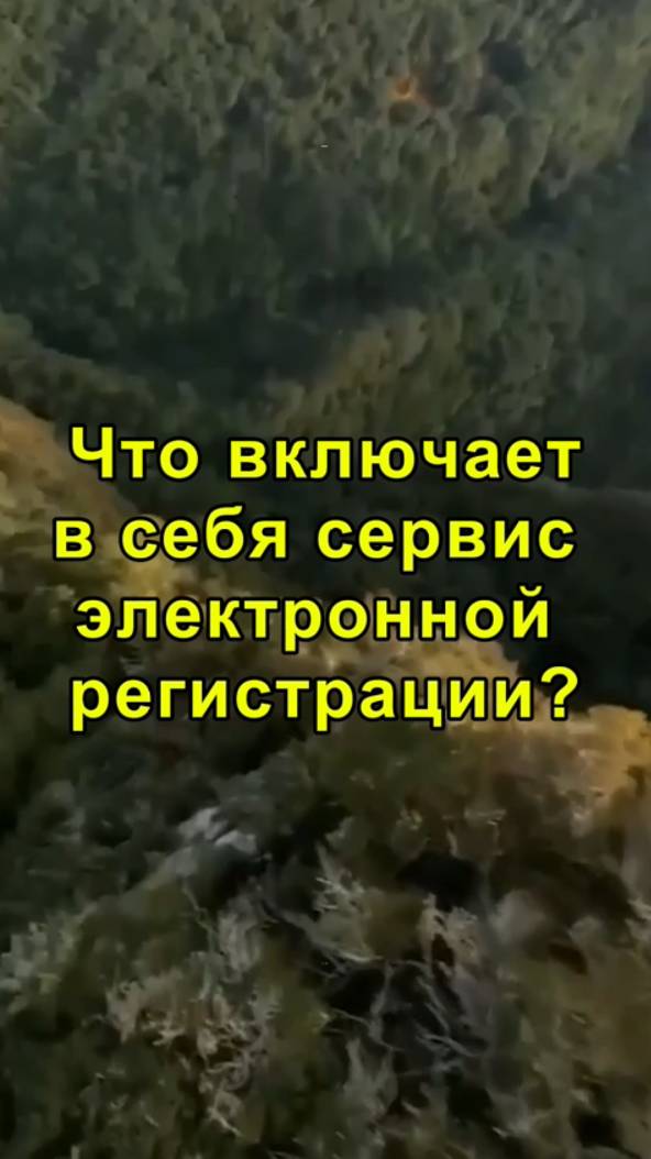 Что включает в себя сервис электронной регистрации?