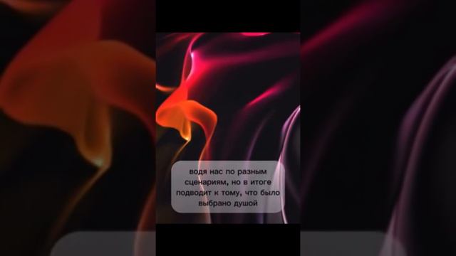 1000010489.mp4