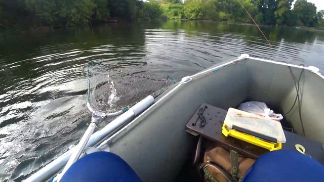 В августе не клюёт? смотреть онлайн