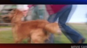 Клип~I will always return/Собачья жизнь)