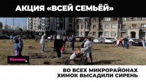 ВО ВСЕХ МИКРОРАЙОНАХ ХИМОК ВЫСАДИЛИ СИРЕНЬ