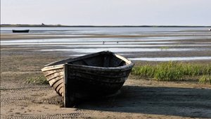 Про море на острове Ягры