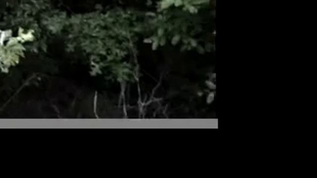Ghost Yeti
