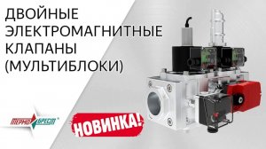 НОВИНКА ПРОИЗВОДСТВА 2018: двойные электромагнитные клапаны в моноблочном корпусе (мультиблоки)