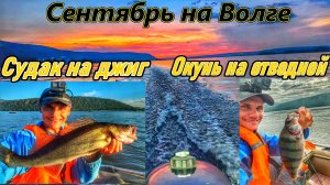 ЛОВЛЯ СУДАКА И ОКУНЯ НА СПИННИНГ/СУДАК НА ДЖИГ/ ОКУНЬ НА ОТВОДНОЙ ПОВОДОК/РЕКА ВОЛГА/САМАРСКАЯ ОБЛ.