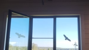 Делаем красоту на потолке