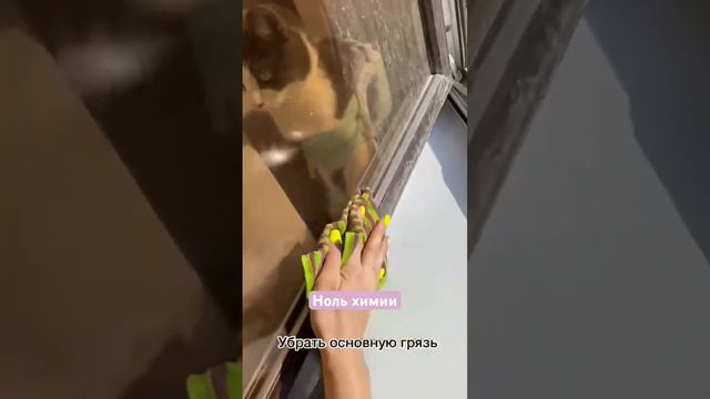 Ноль химии , ноль средств #для_стекол #без_химии смотреть онлайн