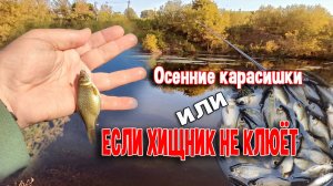 Осенние карасишки, или Если хищник не клюёт