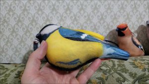 Мы завели новых птичек!