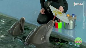 О формировании семейных традиций