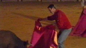 F1_MusicalTribute-1988