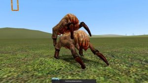 Headcrabs Mating ( Rare footage )