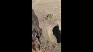 Утренняя разминка