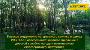 🚚 Процесс производства шин WESTLAKE