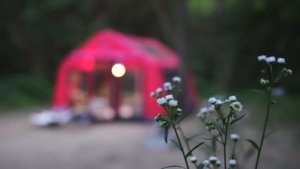 Кемпинг за 7777 долларов с роскошной надувной палаткой Звуки леса