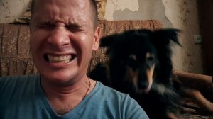 ЧАЙКА - ЛУЧШАЯ ПТИЦА ДЛЯ КВАРТИРЫ! РЕКОМЕНДУЮ ;-)