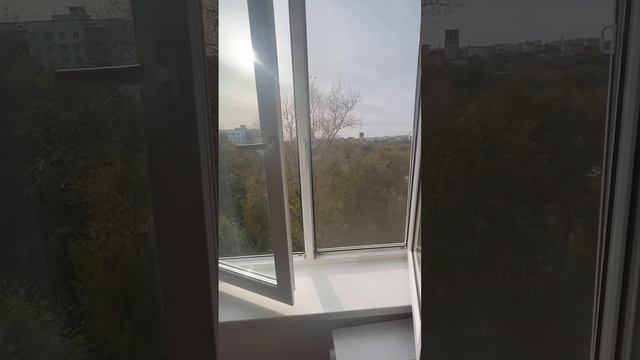 -5955762212165583772