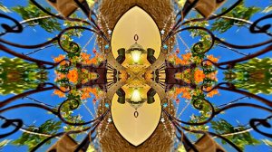 ФотоШоу PRO!!! Проекты ФотоШоу PRO! Проект 127 Осенние Цветочные веера 8!!!