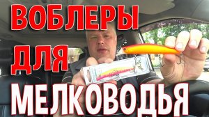 Новые воблеры для мелководья