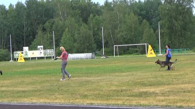 2022 IGP CACT Russia Knyazhevo 42 Kiseleva Oksana (5) and Quper aus der Königshöhle (GSD) C77 смотреть онлайн