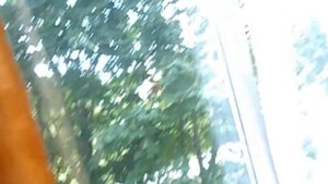 Псих за ноутбуком 1080р