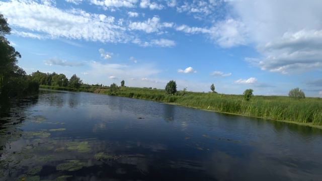 Кислота против натуралки смотреть онлайн