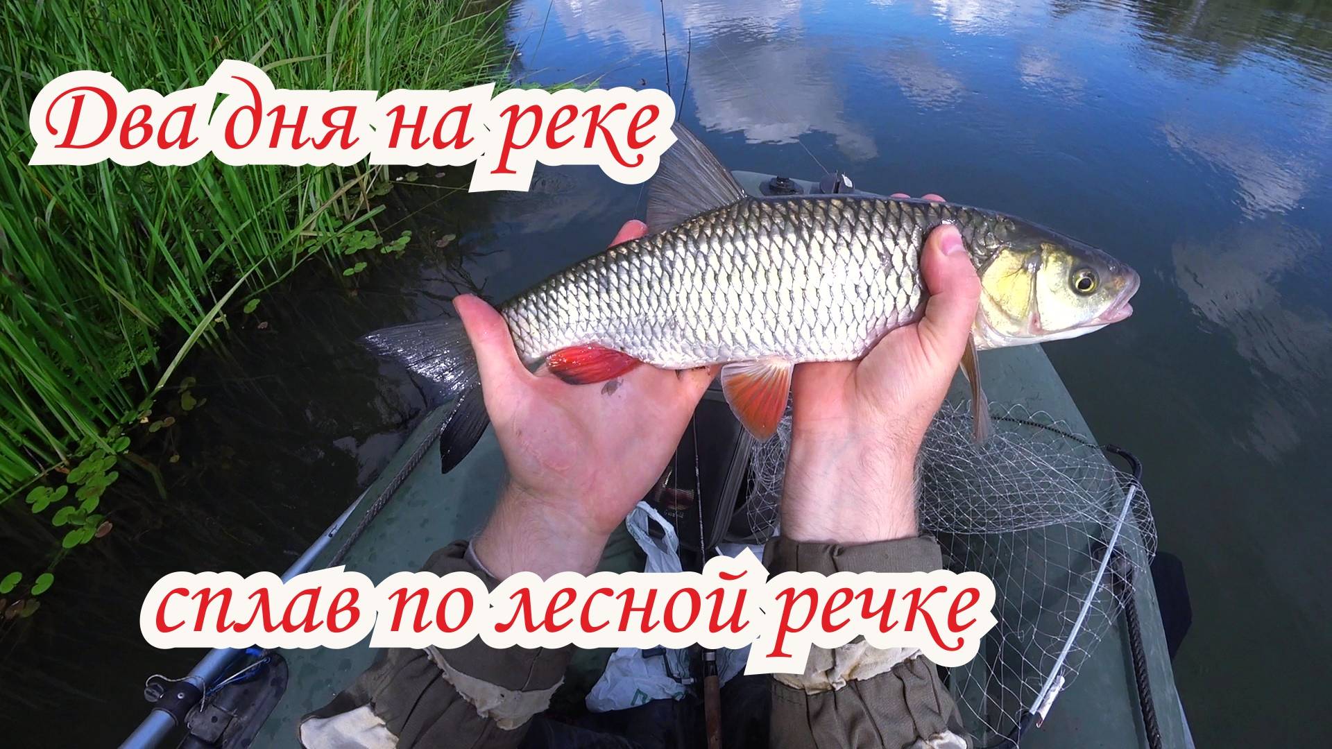 Рыбалка с ночевкой на реке Мокша. Сплав и ловля голавля на лесной речке