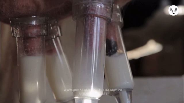 Доильный аппарат МДУ-8 смотреть онлайн