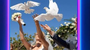 Свадебные Голуби- исп.  Вероника Агапова