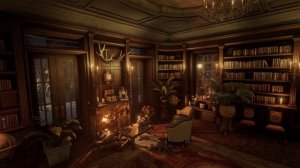 Теплый камин и шум метели за окном уютной гостиной в библиотеке звучат для твоего сна