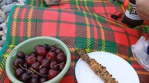 дорога до моря, Сириус, баклан.