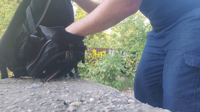 Сам не поможешь, никто не поможет! Молодой голубь с больным крылом смотреть онлайн