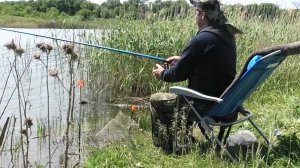 Рыбалка на поплавочную удочку ЛОВЛЯ КАРАСЯ В КАМЫШЕ ВЕСНОЙ