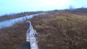 Ходовая охота на утку в снегопад. Нырковая собралась на юг.