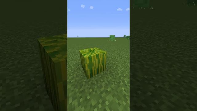 АРБУЗ АРБУЗ ПРИВЕТ #мем #roblox #тикток #tiktok #роблокс #minecraft #fyp #memes #meme