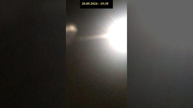 122- от 20.09.2024 - 19-30 - мигрирующая нечисть с собакой без намордника