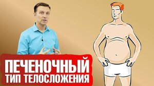 Типы телосложения: Печеночный тип фигуры 📣