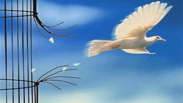 Libertad (Ismael Montes) смотреть онлайн