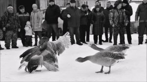 Валерий Горбачёв - НА ЗЛОБУ ДНЯ