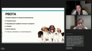 Как избежать расстройств пищеварения у питомца?