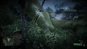 Crysis 1 Graphics